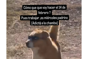 memes-san-valentin-14-febrero-ig (2).png