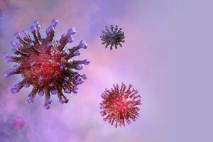coronavirus_app_mit_4.jpg