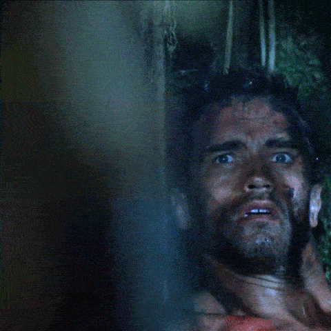 arnold schwarzenegger fumando hierba gif