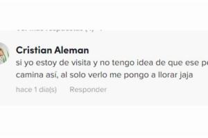 Usuarios de TikTok opinan del video del perro que camina en dos patas 3.jpg