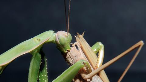 an image
