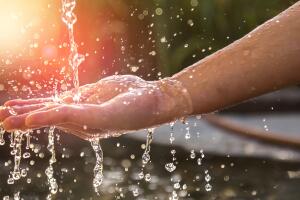 salud bacteria manos