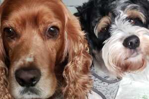 untitled folder/Thiago y Toby.jpg
