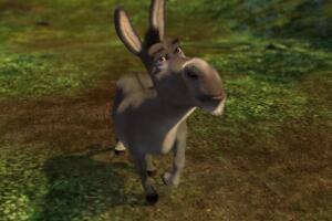 'Shrek', burro.jpg
