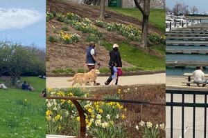 Calor inusual Chicago.jpg