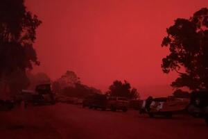 People evacuating on boat in Mallacoota, Australia