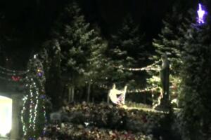 Mañanitas a la Virgen desde Chicago 2017