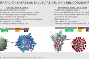 Diferencias entre las envolturas de los virus VIH y SARS-CoV-2.
