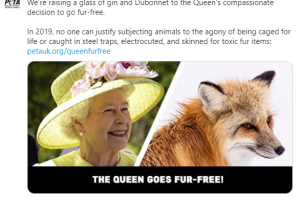 09petauk.PNG