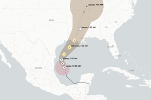 Promo image Francine nuevo