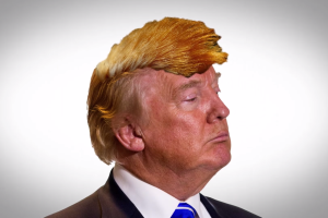 oruga_donald_trump.png