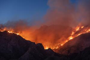 incendio forestal.jpg