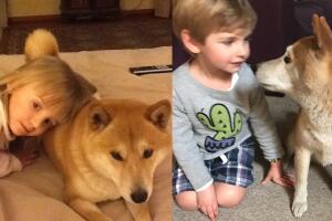 Chantal Andere compartió fotos de sus hijos y lo unidos que fueron a su perrito