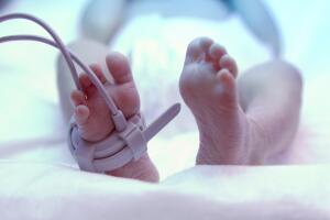 Feet of new born baby under ultraviolet lamp