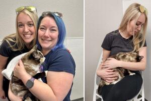 Galena, la gata que se perdió en un paquete, ya regresó con su familia