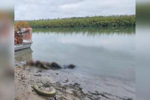 cadáveres atados padre hijo inmigrantes Río Bravo Eagle Pass Texas