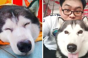 perro_lucky.jpg