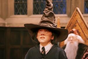 Ron Weasley con el sombrero seleccionador Harry Potter.jpg