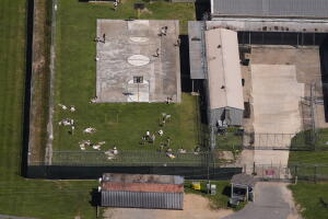 ICE Detention Center Louisiana