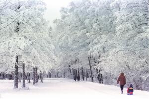 parque-izmaylovo-moscu-rusia.jpg