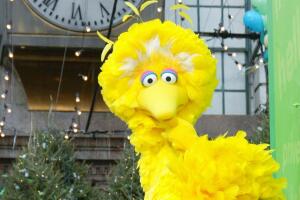 Big Bird siempre ha participado en campañas de vacunación.