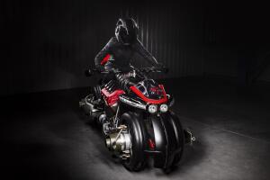 Roulante vanessa (1).jpg