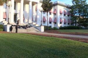 protesta florida /protesta.jpg