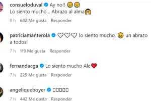 Varios famosos y famosas han expresado sus condolencias a Eugenio Derbez y Alessandra Rosaldo tras la muerte de Fiona. 