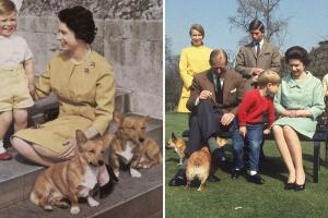 La reina Isabel II y sus perros a través de los años