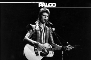 PALCO DAVID BOWIE.png