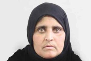 Sharbat Gula