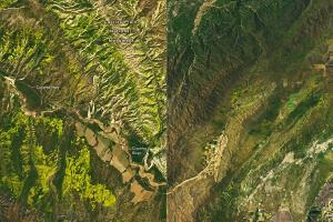 La NASA captó imágenes satelitales de la súper floración 2023 de California