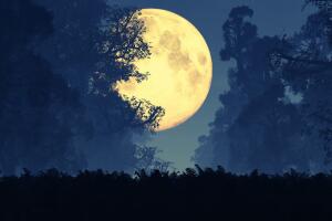 Luna llena