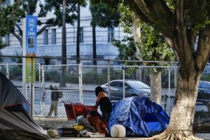 Trump California Homelessness