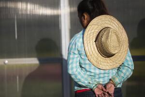 Immigration Landscaper Sting