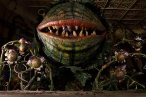 little_shop_of_horrors