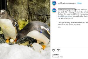 instagram sphen y magic.jpg