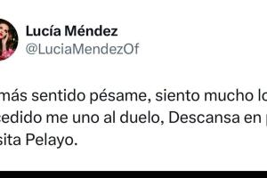 Lucía Méndez externó así su pesar.