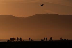Puesta de sol en la playa de Santa Monica