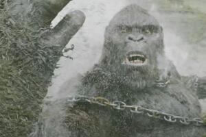 Kong Skull Island 2.jpg