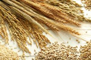 alimentos-para-pele-beleza-cereais.jpg