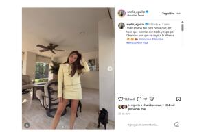 Chancho ya había sido salvado por Aneliz Aguilar tras caer a la alberca.