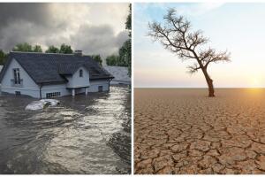 ¿Cómo afecta el fenómeno 'El Niño' al planeta?