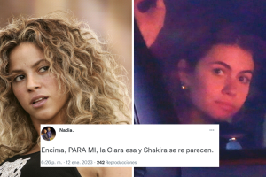 shakira-clara-chia-parecido (1).png