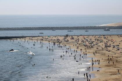 Coronavirus: Ignoran regla de distancia social y acuden en masa a esta playa de California 12 Esta imagen, muestra a los visitantes de la playa Corona del Mar State Beach, en la ciudad de New Port Beach, también en el condado de Orange.