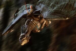 Eragon - 2006 Grosby (3).jpg