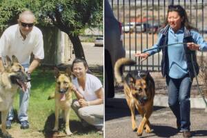 Gene Hackman y Betsy Arakawa junto a sus perros