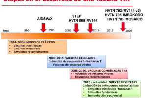 Etapas en el desarrollo de vacunas contra el VIH.