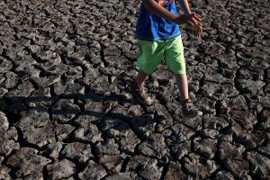 california sequia.jpg