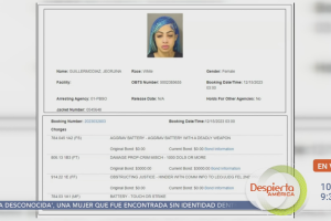 Yailin fue arrestada en Florida